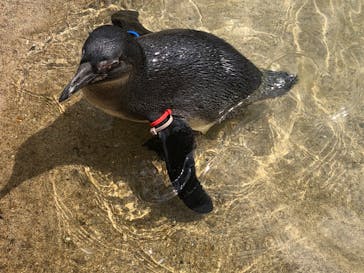 那須どうぶつ王国に投稿された画像（2024/4/30）