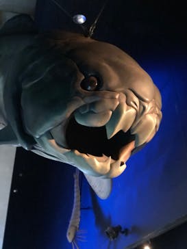 環境水族館アクアマリンふくしまに投稿された画像（2024/4/30）