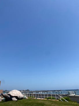 アクアワールド茨城県大洗水族館に投稿された画像（2024/4/30）