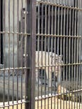 東武動物公園に投稿された画像（2024/4/30）