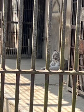 東武動物公園に投稿された画像（2024/4/30）