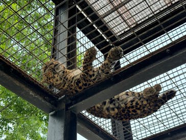 群馬サファリパークに投稿された画像（2024/4/30）