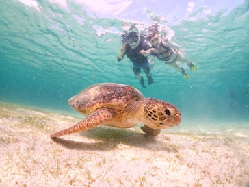 宮古島マリンショップSmileyに投稿された画像（2024/4/30）