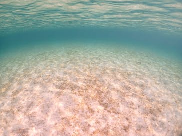 宮古島マリンショップSmileyに投稿された画像（2024/4/30）