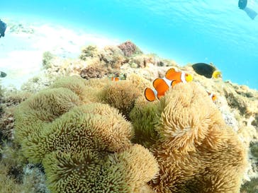 宮古島マリンショップSmileyに投稿された画像（2024/4/30）