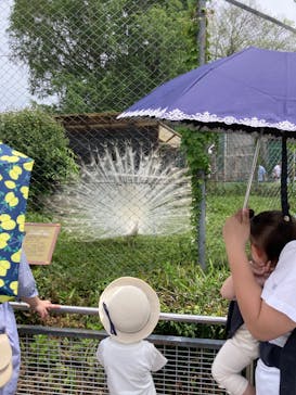 東武動物公園に投稿された画像（2024/4/30）