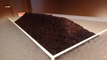 felissimo chocolate museum（フェリシモチョコレートミュージアム）に投稿された画像（2024/4/30）