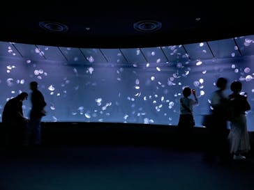 サンシャイン水族館に投稿された画像（2024/4/30）