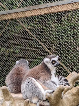 東武動物公園に投稿された画像（2024/4/30）