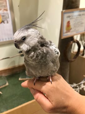 Moff animal cafe イオンモール新利府店に投稿された画像（2024/4/30）