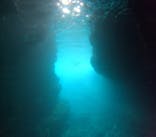 沖縄マリンサービス碧に投稿された画像（2024/4/30）