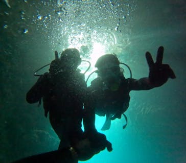 沖縄マリンサービス碧に投稿された画像（2024/4/30）