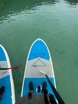 宮古島 ADVENTURE PiPi（ミヤコジマ アドベンチャー ピピ）に投稿された画像（2024/4/30）