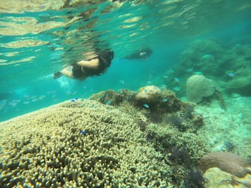 宮古島 ADVENTURE PiPi（ミヤコジマ アドベンチャー ピピ）に投稿された画像（2024/4/30）