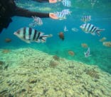 沖縄マリンサービス碧に投稿された画像（2024/4/30）