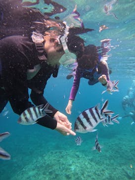 沖縄マリンサービス碧に投稿された画像（2024/4/30）