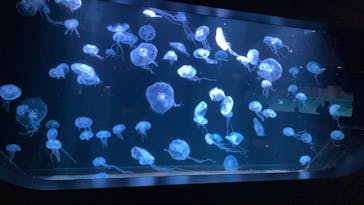 AOAO SAPPOROに投稿された画像（2024/4/30）