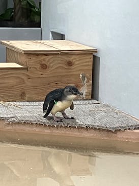 AOAO SAPPOROに投稿された画像（2024/4/30）