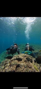 武藤潜水に投稿された画像（2024/4/30）