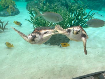 鴨川シーワールドに投稿された画像（2024/4/30）