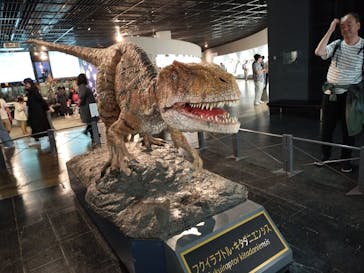 福井県立恐竜博物館に投稿された画像（2024/4/30）