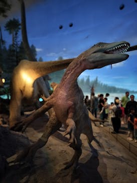 福井県立恐竜博物館に投稿された画像（2024/4/30）