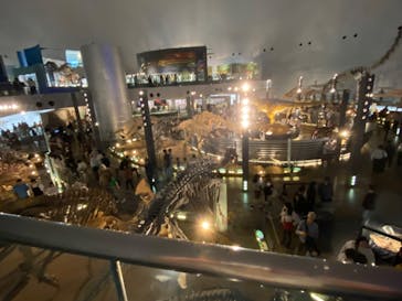 福井県立恐竜博物館に投稿された画像（2024/4/30）