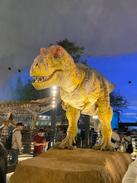 福井県立恐竜博物館に投稿された画像（2024/4/30）