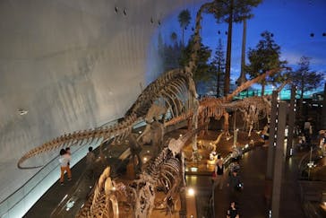 福井県立恐竜博物館に投稿された画像（2024/4/30）