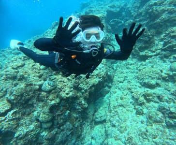 武藤潜水に投稿された画像（2024/4/30）