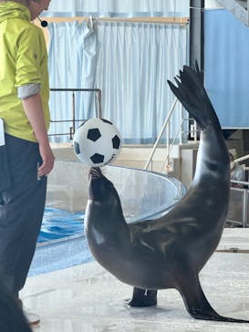 アクアワールド茨城県大洗水族館に投稿された画像（2024/4/30）