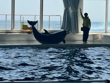 アクアワールド茨城県大洗水族館に投稿された画像（2024/4/30）
