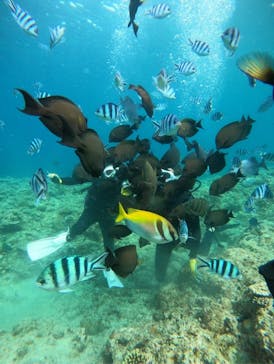 武藤潜水に投稿された画像（2024/4/30）