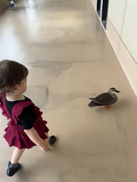 天王寺動物園に投稿された画像（2024/4/30）