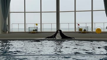 アクアワールド茨城県大洗水族館に投稿された画像（2024/4/30）