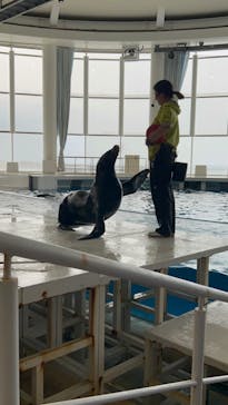 アクアワールド茨城県大洗水族館に投稿された画像（2024/4/30）