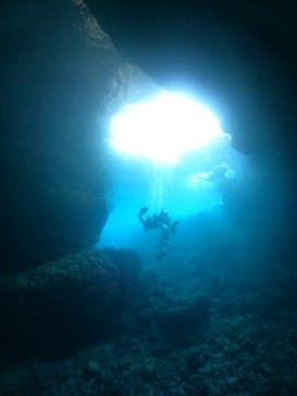 武藤潜水に投稿された画像（2024/4/30）