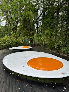 彫刻の森美術館に投稿された画像（2024/4/30）