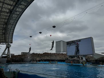 名古屋港水族館に投稿された画像（2024/4/30）