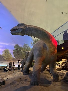 福井県立恐竜博物館に投稿された画像（2024/4/30）