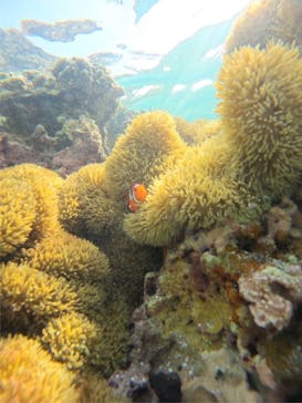 宮古島 ADVENTURE PiPi（ミヤコジマ アドベンチャー ピピ）に投稿された画像（2024/4/30）