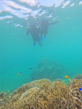 宮古島 ADVENTURE PiPi（ミヤコジマ アドベンチャー ピピ）に投稿された画像（2024/4/30）