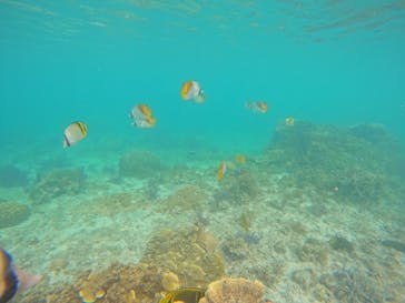 宮古島 ADVENTURE PiPi（ミヤコジマ アドベンチャー ピピ）に投稿された画像（2024/4/30）