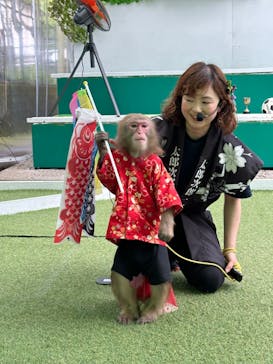 おさるランド＆アニタウン　日光さる軍団劇場に投稿された画像（2024/4/30）