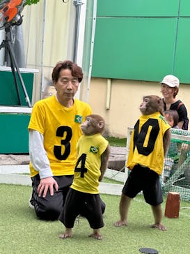 おさるランド＆アニタウン　日光さる軍団劇場に投稿された画像（2024/4/30）