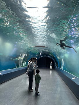 マクセル アクアパーク品川に投稿された画像（2024/4/30）