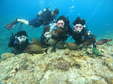 武藤潜水に投稿された画像（2024/4/30）