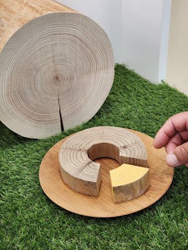 新潟県立自然科学館に投稿された画像（2024/4/30）