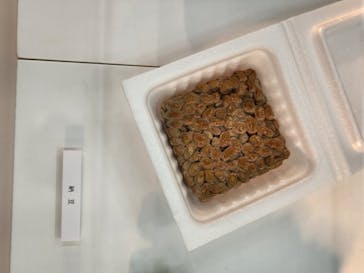 新潟県立自然科学館に投稿された画像（2024/4/30）