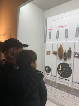 特別展「大哺乳類展３－わけてつなげて大行進」に投稿された画像（2024/3/20）